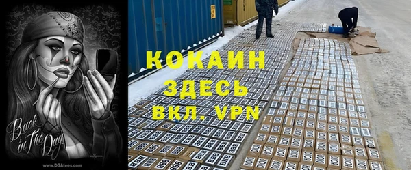 2c-b Горно-Алтайск