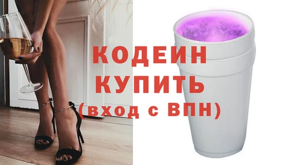 2c-b Горно-Алтайск