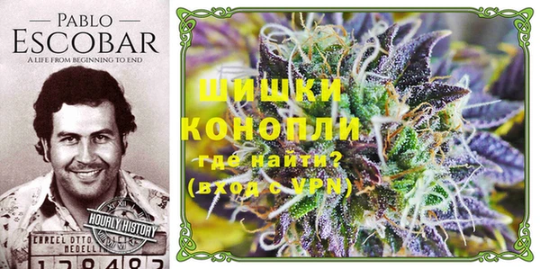 стафф Горнозаводск