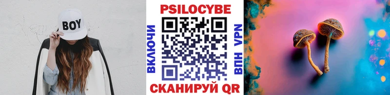 Псилоцибиновые грибы Psilocybe  где купить наркоту  Набережные Челны 